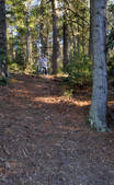 Enlarge photo 59