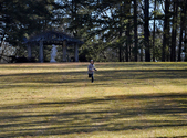 Enlarge photo 61
