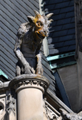 Enlarge photo 25