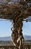 Enlarge photo 26