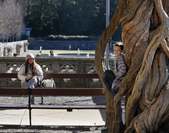 Enlarge photo 47