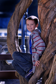 Enlarge photo 41