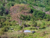 Enlarge photo 33