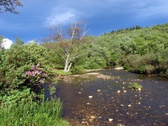 Enlarge photo 41