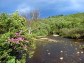 Enlarge photo 42