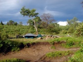 Enlarge photo 43
