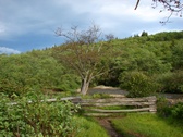 Enlarge photo 44
