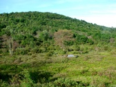 Enlarge photo 34