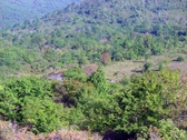 Enlarge photo 35