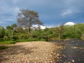 Enlarge photo 40