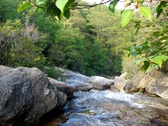 Enlarge photo 29