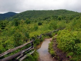 Enlarge photo 47