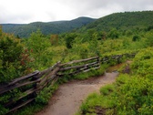 Enlarge photo 48