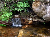 Enlarge photo 50
