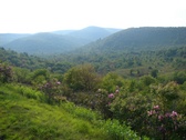 Enlarge photo 20