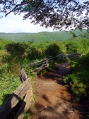 Enlarge photo 31
