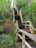 Enlarge photo 53
