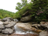 Enlarge photo 54