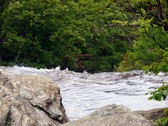 Enlarge photo 55