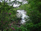 Enlarge photo 51