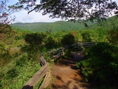 Enlarge photo 52
