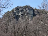 Enlarge photo 30