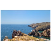 Enlarge photo 59