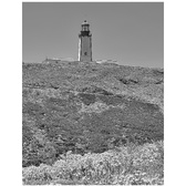 Enlarge photo 57