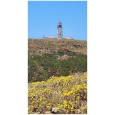 Enlarge photo 56