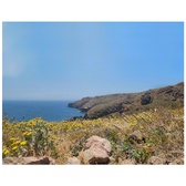 Enlarge photo 54