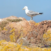 Enlarge photo 55