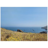 Enlarge photo 53