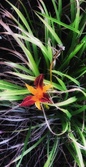 Enlarge photo 40