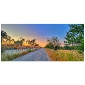 Enlarge photo 38