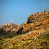 Enlarge photo 31