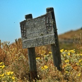 Enlarge photo 30