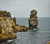 Enlarge photo 33
