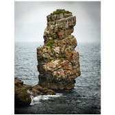 Enlarge photo 51