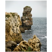 Enlarge photo 50