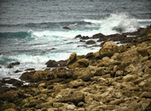 Enlarge photo 35