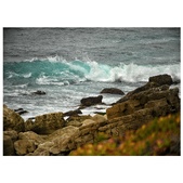 Enlarge photo 48
