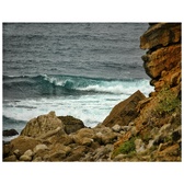 Enlarge photo 47