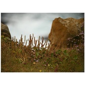 Enlarge photo 43