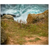 Enlarge photo 42