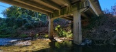 Enlarge photo 30