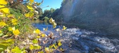 Enlarge photo 36