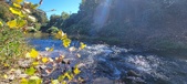 Enlarge photo 35