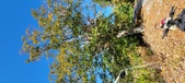 Enlarge photo 37