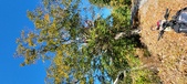 Enlarge photo 38