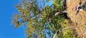 Enlarge photo 39